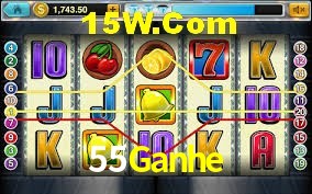 Security Systems 55Ganhe